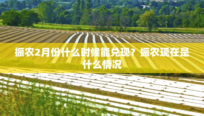 振农2月份什么时候能兑现？振农现在是什么情况