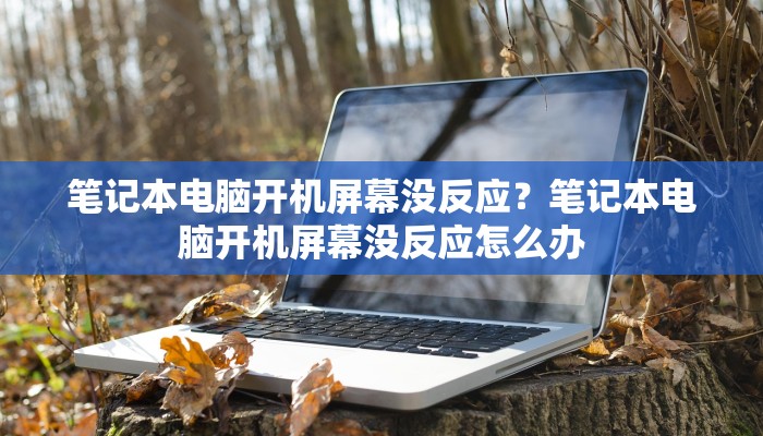 笔记本电脑开机屏幕没反应？笔记本电脑开机屏幕没反应怎么办