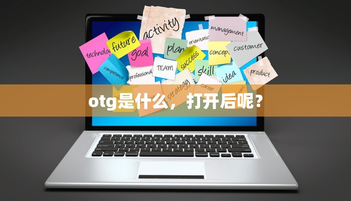 otg是什么，打开后呢？