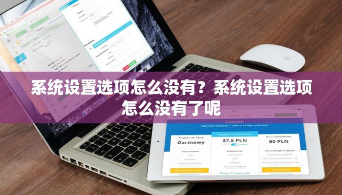 系统设置选项怎么没有？系统设置选项怎么没有了呢