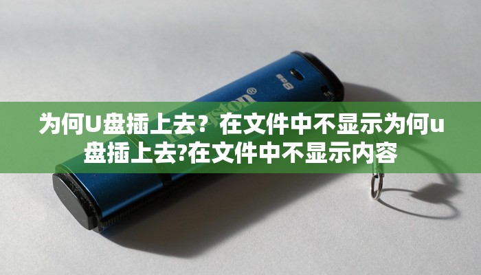 为何U盘插上去？在文件中不显示为何u盘插上去?在文件中不显示内容