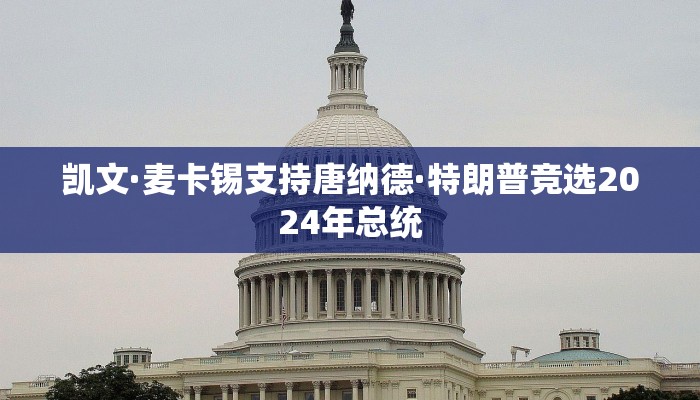 凯文·麦卡锡支持唐纳德·特朗普竞选2024年总统