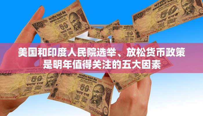 美国和印度人民院选举、放松货币政策是明年值得关注的五大因素