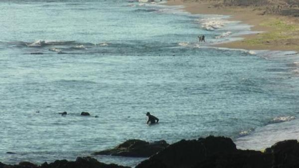 Artillery shells found off coast destroyed: Ministry
