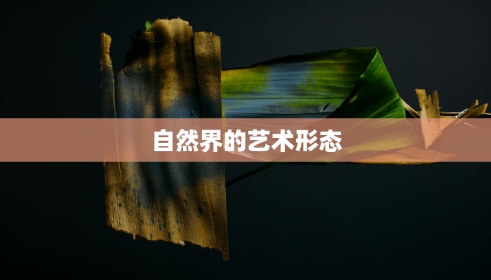 自然界的艺术形态