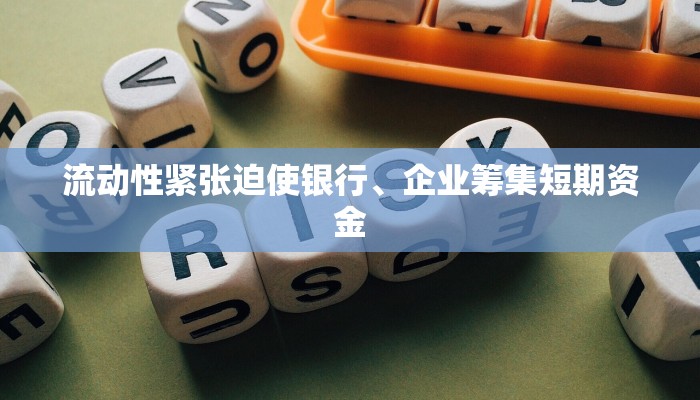 流动性紧张迫使银行、企业筹集短期资金