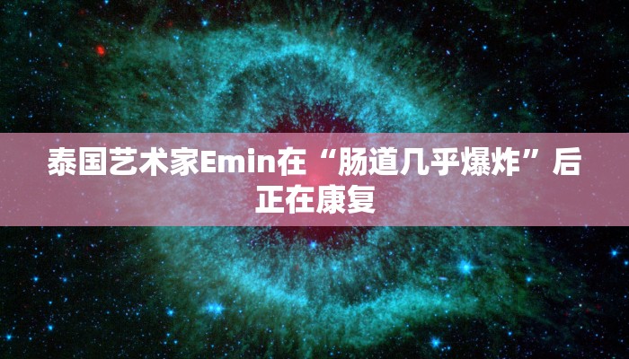 泰国艺术家Emin在“肠道几乎爆炸”后正在康复