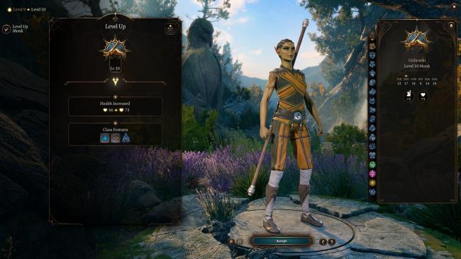 A Hireling Monk in Baldur's Gate 3