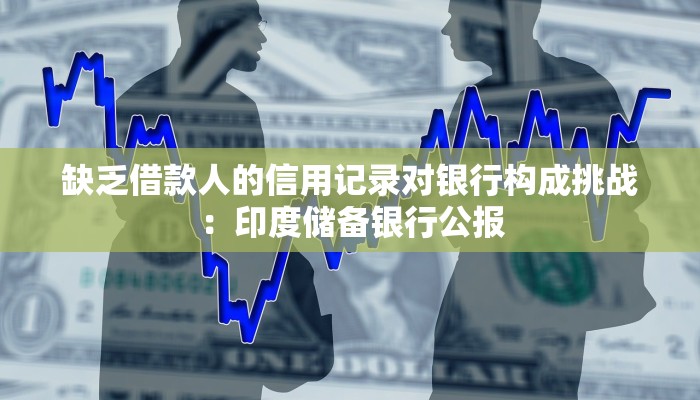 缺乏借款人的信用记录对银行构成挑战：印度储备银行公报