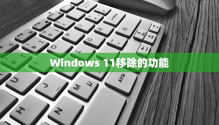 Windows 11移除的功能