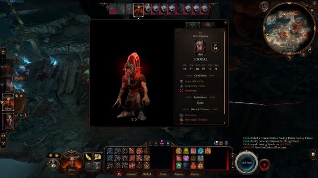 Baldur's Gate 3 Examine Menu of BOOAL