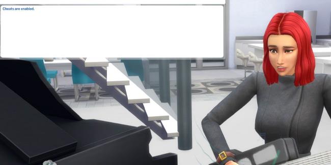 The Sims 4 command box is on the top left corner of the screen. On the right side, a novice Sim plays the guitar.