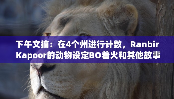 下午文摘：在4个州进行计数，Ranbir Kapoor的动物设定BO着火和其他故事
